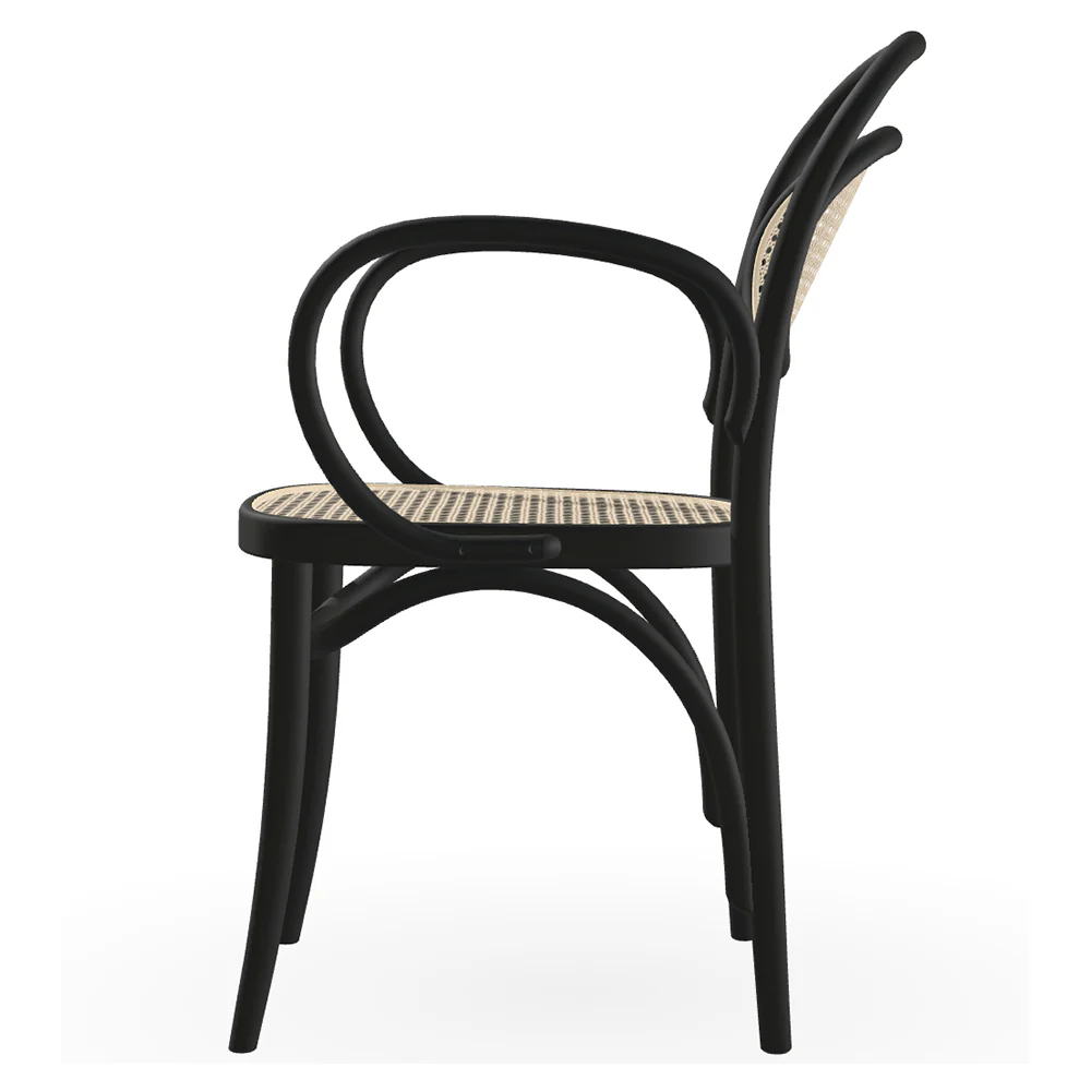 20 Arm Chair Cane - Wood - Image 2