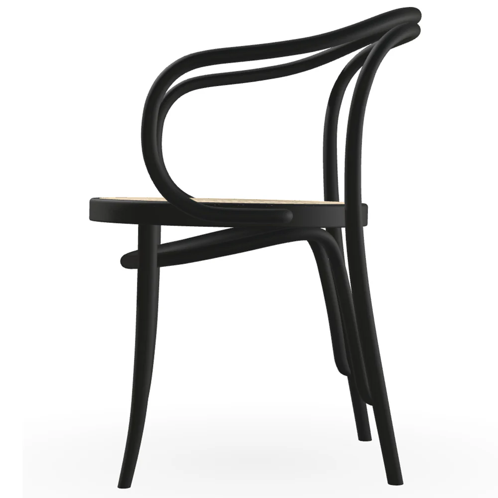 30 Arm Chair Cane - Wood - Image 3