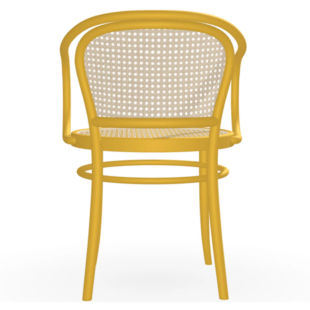 33 Arm Chair Cane - Color - Image 4