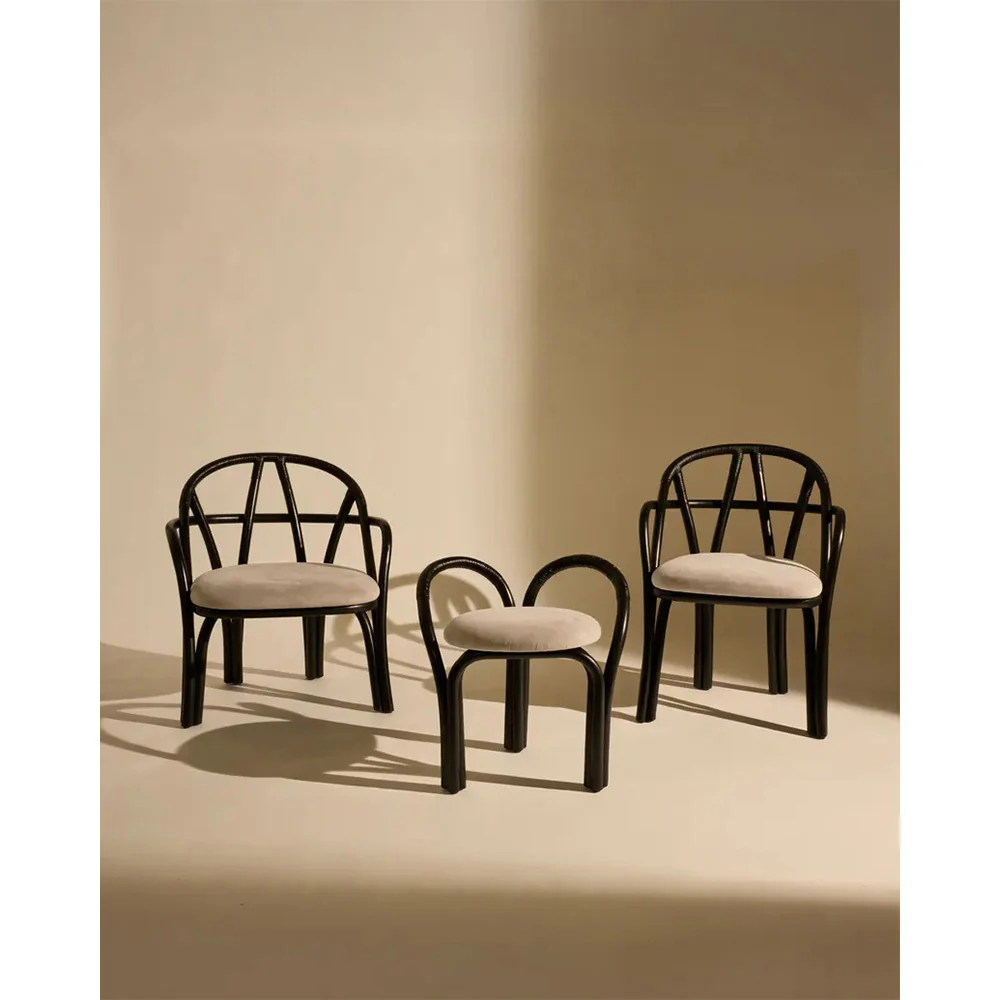 Bistra Lounge Chair - Ebony - Image 8