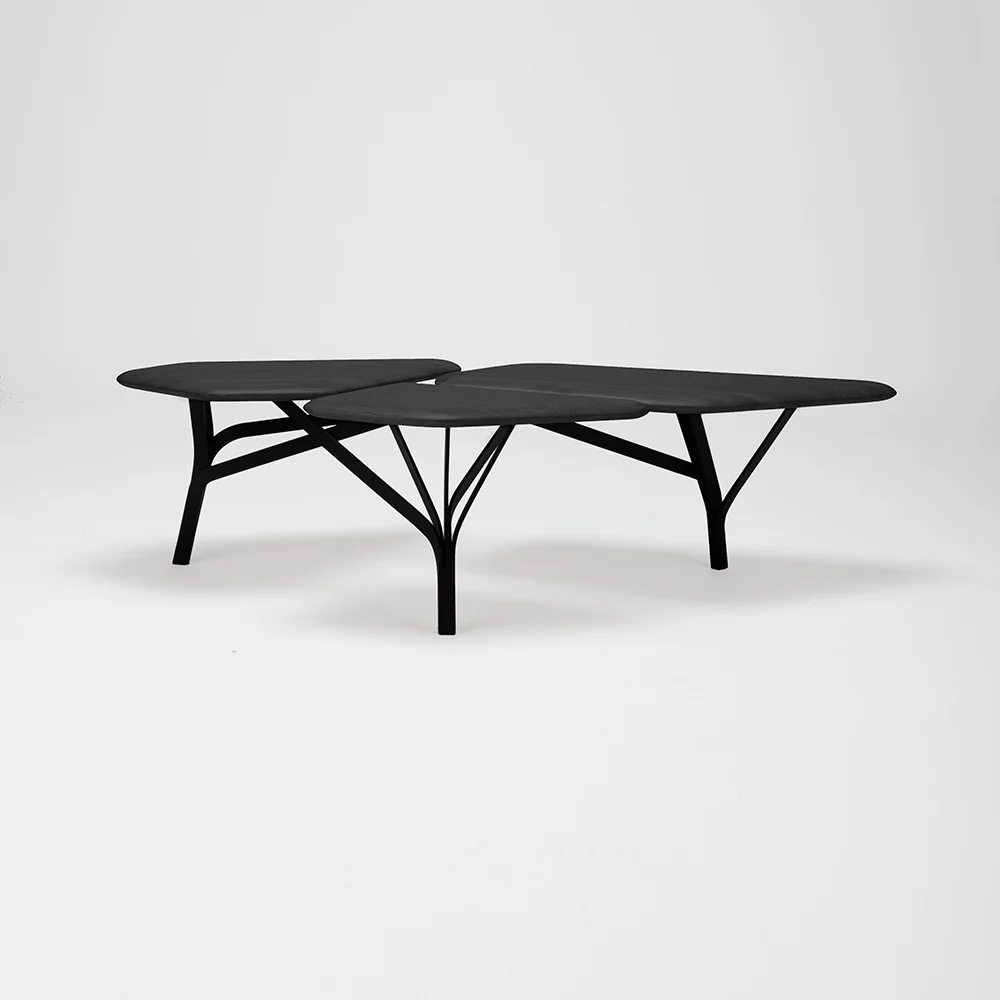 Borghese Coffee Table - Black Oak Top - Image 2