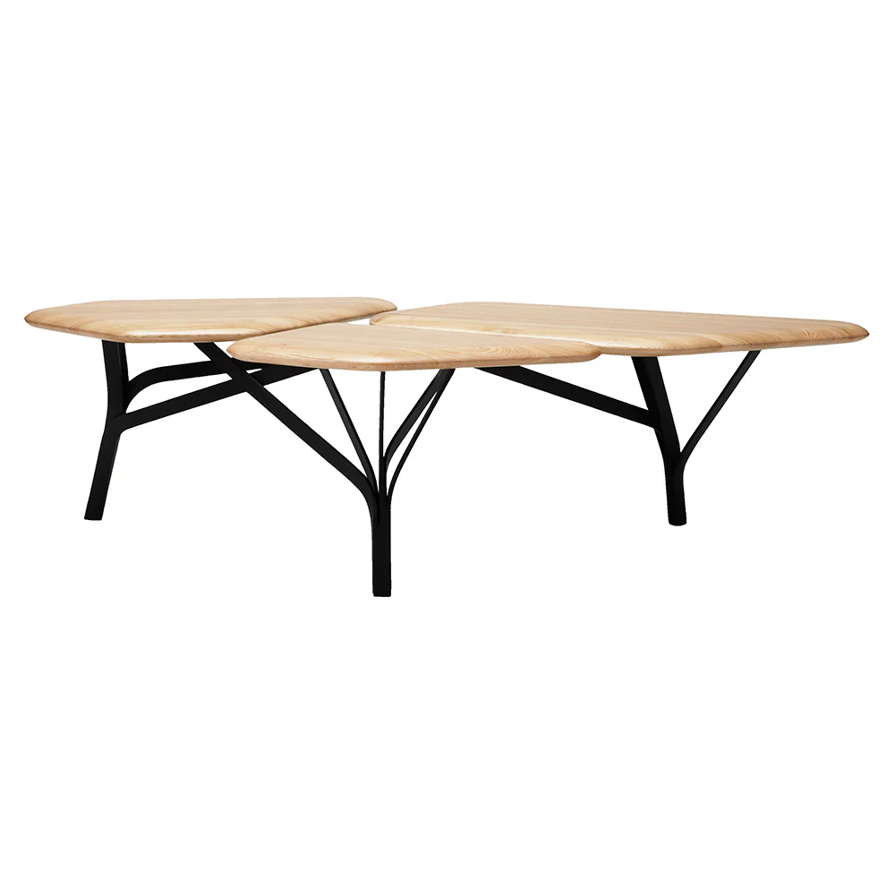 Borghese Coffee Table - Natural Oak Top