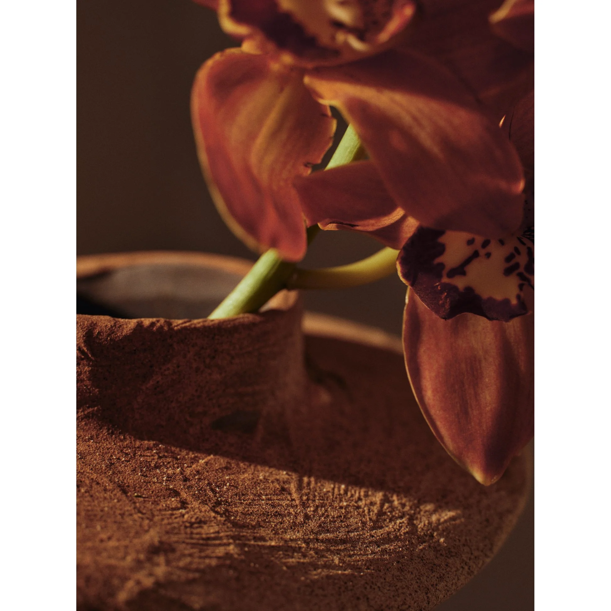 Evio Vase - Burnt Umber - Image 9