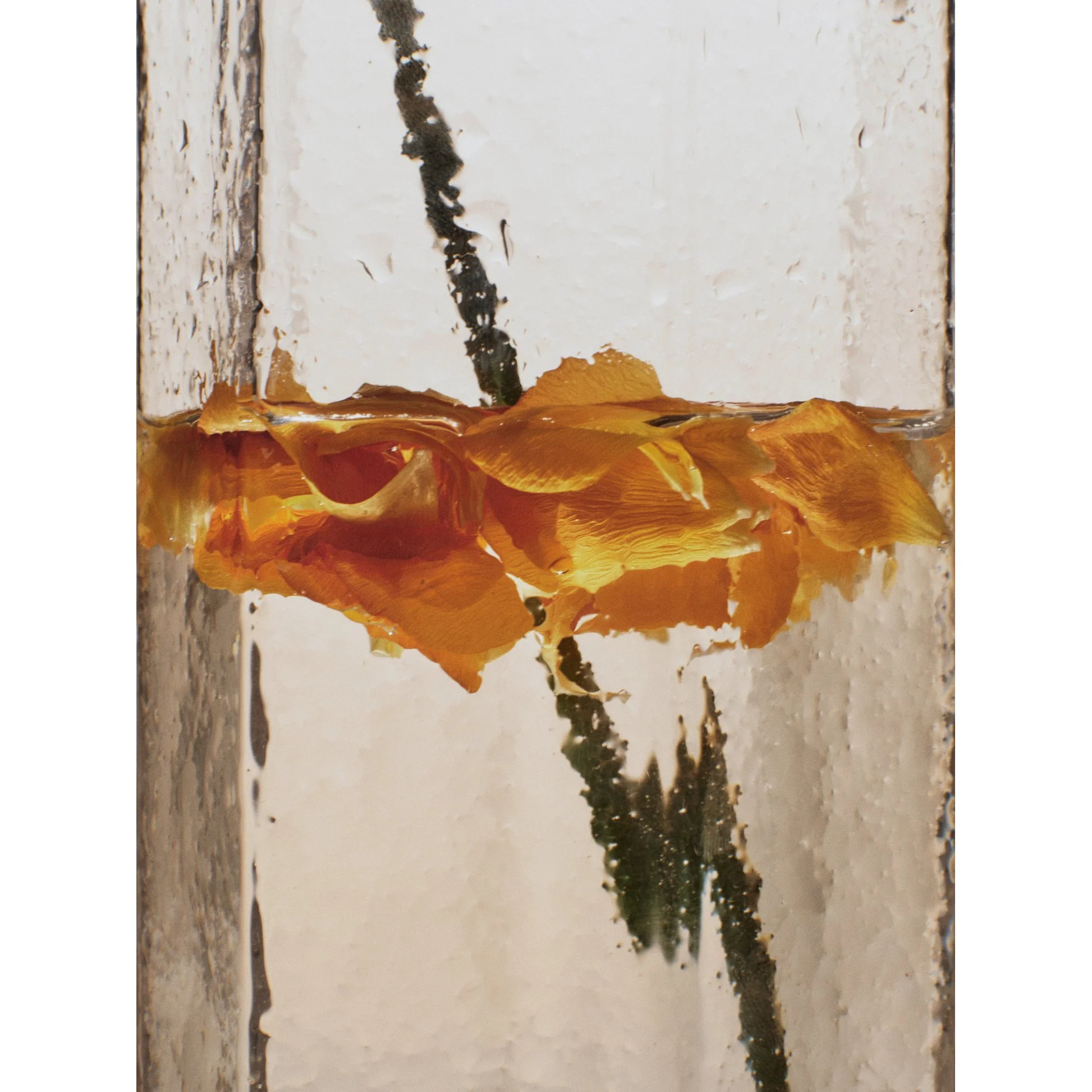 Kiru Carafe - Image 8