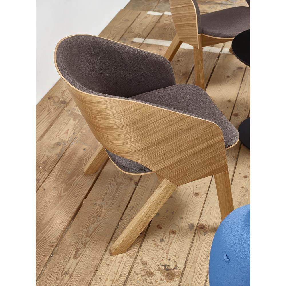 Merano Lounge Arm Chair - American Walnut - Image 4