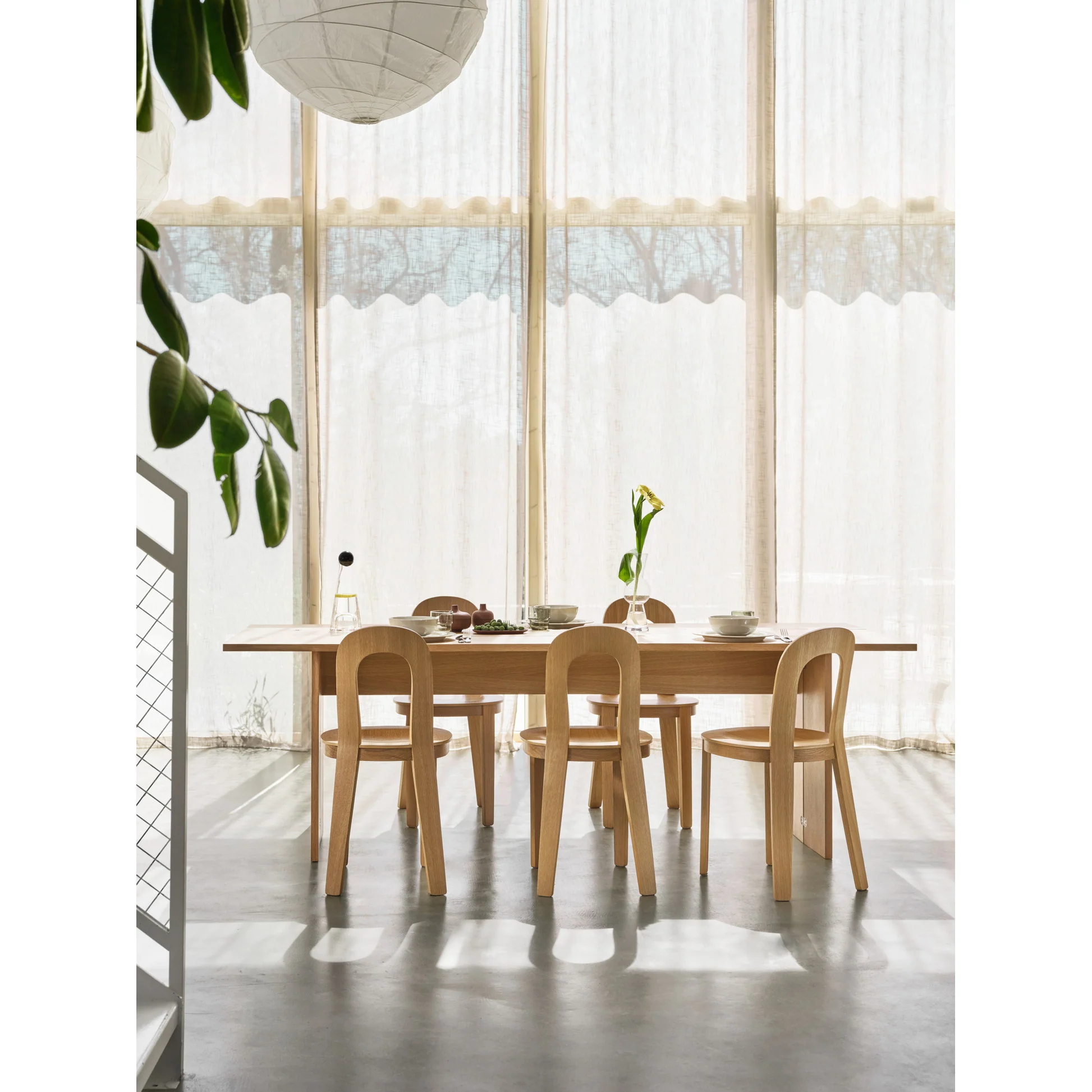 Olivia Chair, Set of 2 - Oak - Image 11