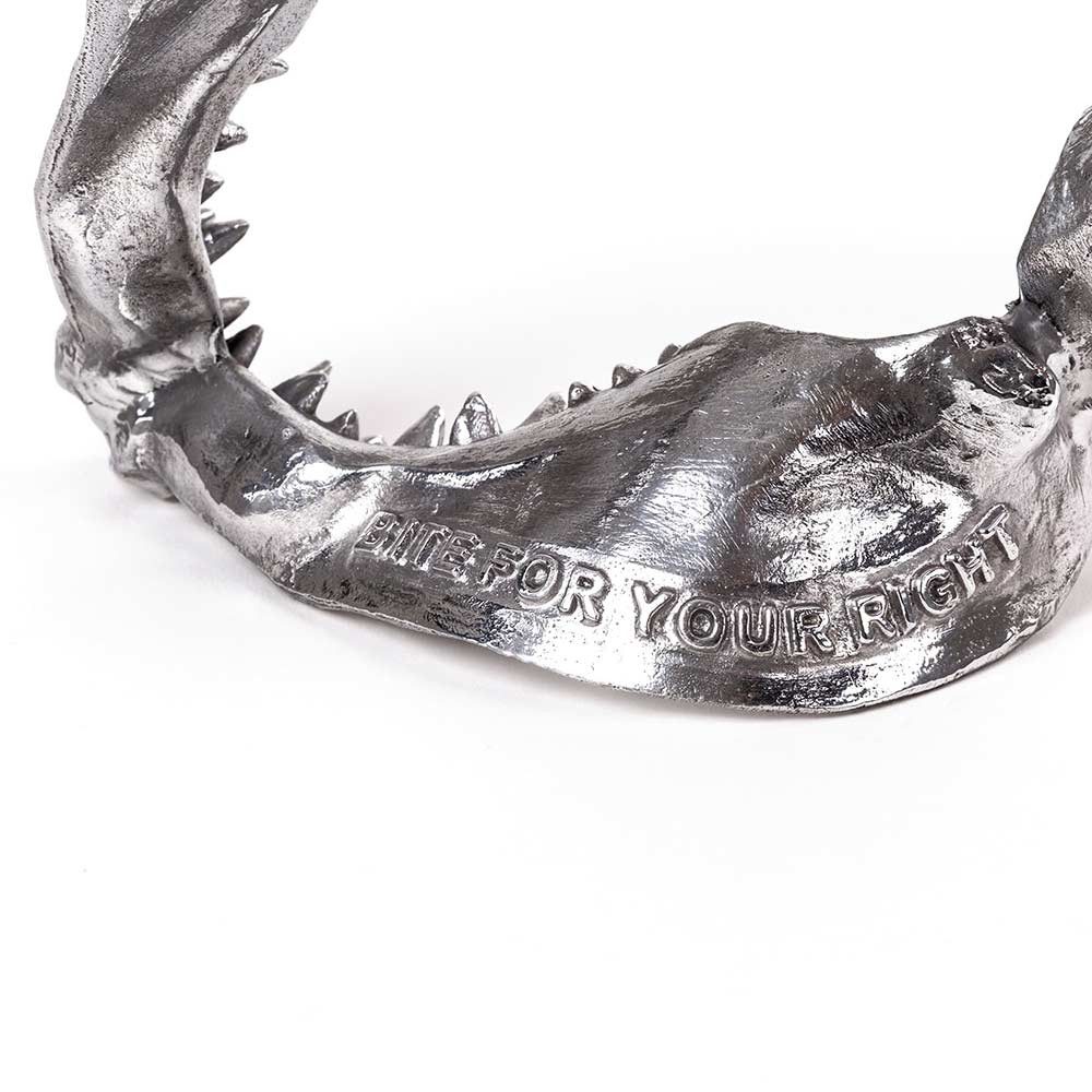 Wunderkammer Shark Jaw - Image 5